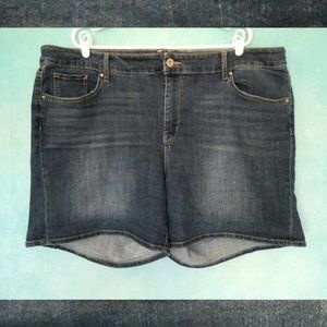 Jessica Simpson Forever Short Denim Shorts 24W